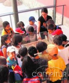 Imagen del evento