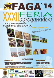 Imagen del evento