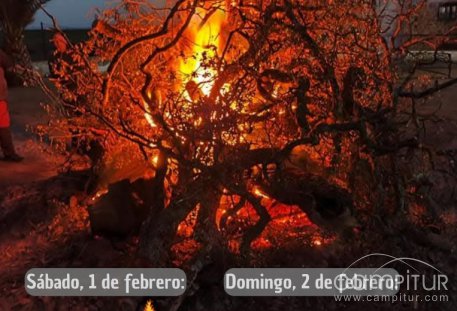 Los Blázquez celebra la tradicional Candelaria 2025 con música flamenca y actividades para todos  