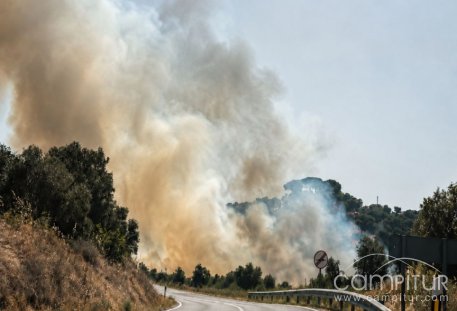 Un incendio en El Pedroso obliga a cortar la A-432